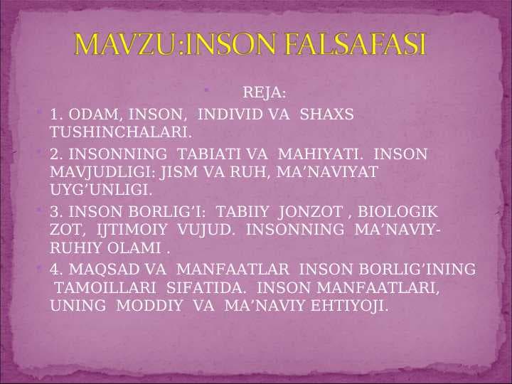 INSON FALSAFASI