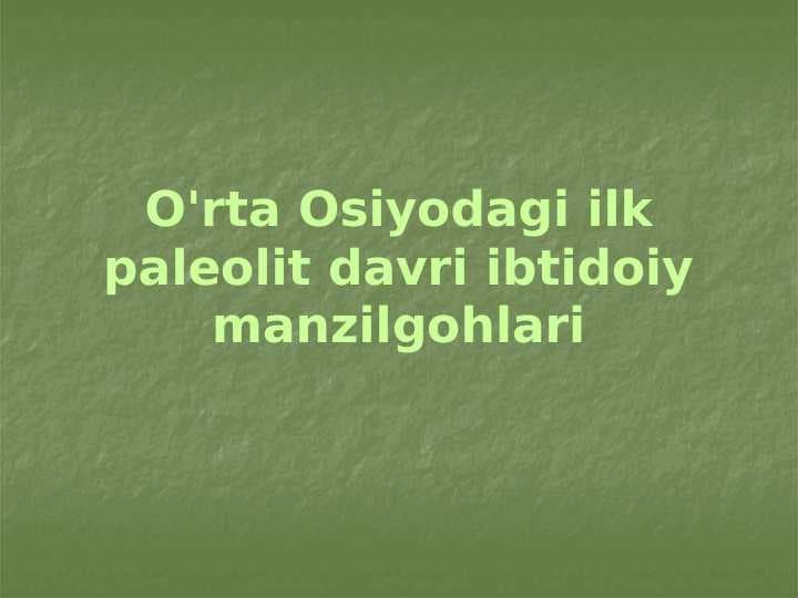 O'rta Osiyodagi ilk paleolit davri ibtidoiy manzilgohlari