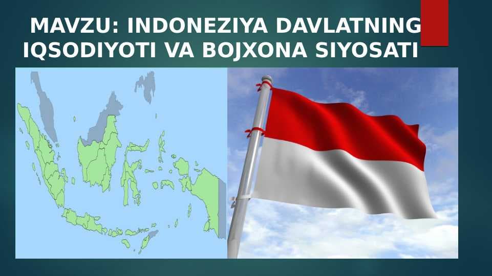 INDONEZIYA DAVLATNING IQSODIYOTI VA BOJXONA SIYOSATI