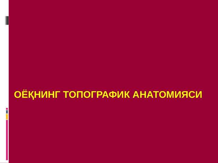 ОЁҚНИНГ ТОПОГРАФИК АНАТОМИЯСИ