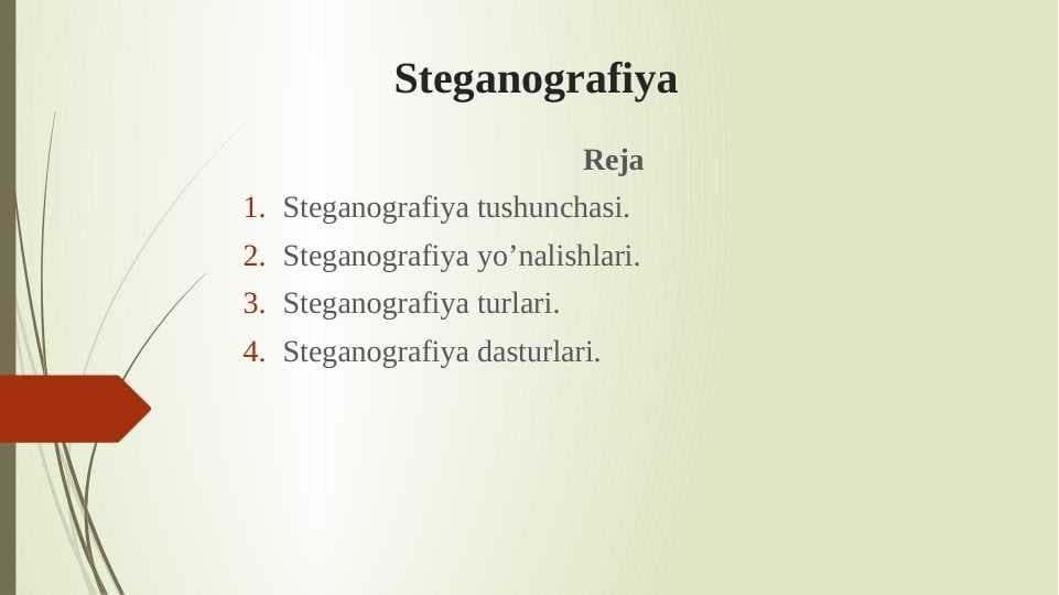 Steganografiya