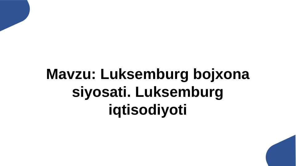 Luksemburg bojxona siyosati. Luksemburg iqtisodiyoti