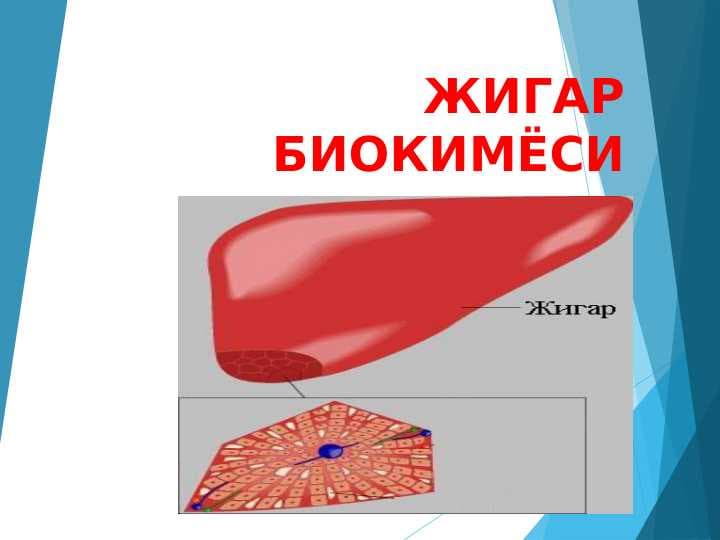 Jigar biokimyosi ppt