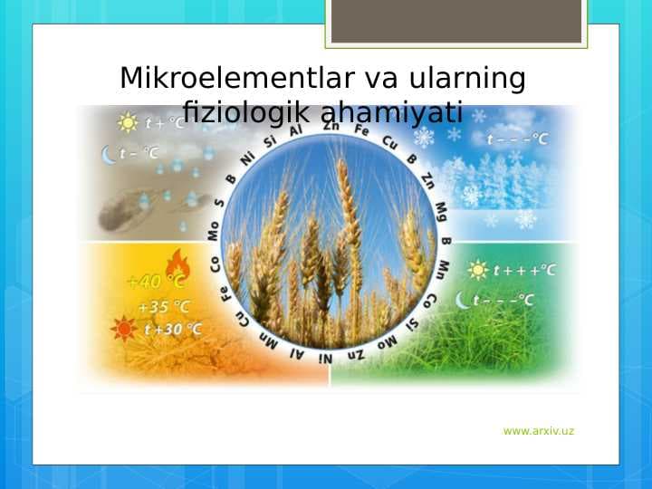 Mikroelementlar va ularning fiziologik ahamiyati