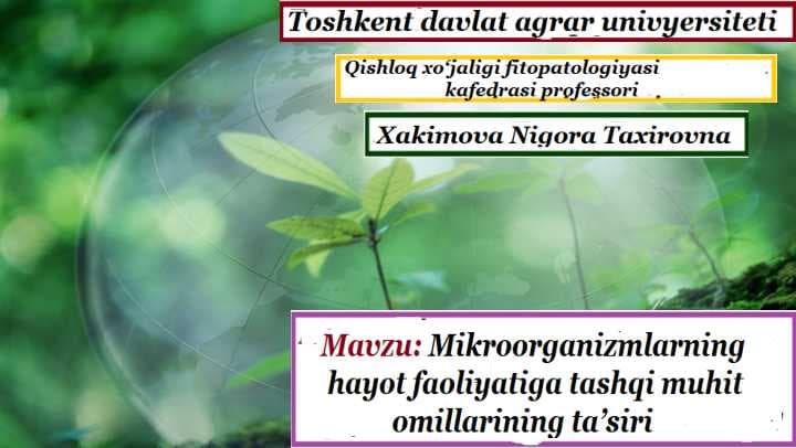 Mikroorganizmlarning hayot faoliyatiga tashqi muhit omillarining tasiri