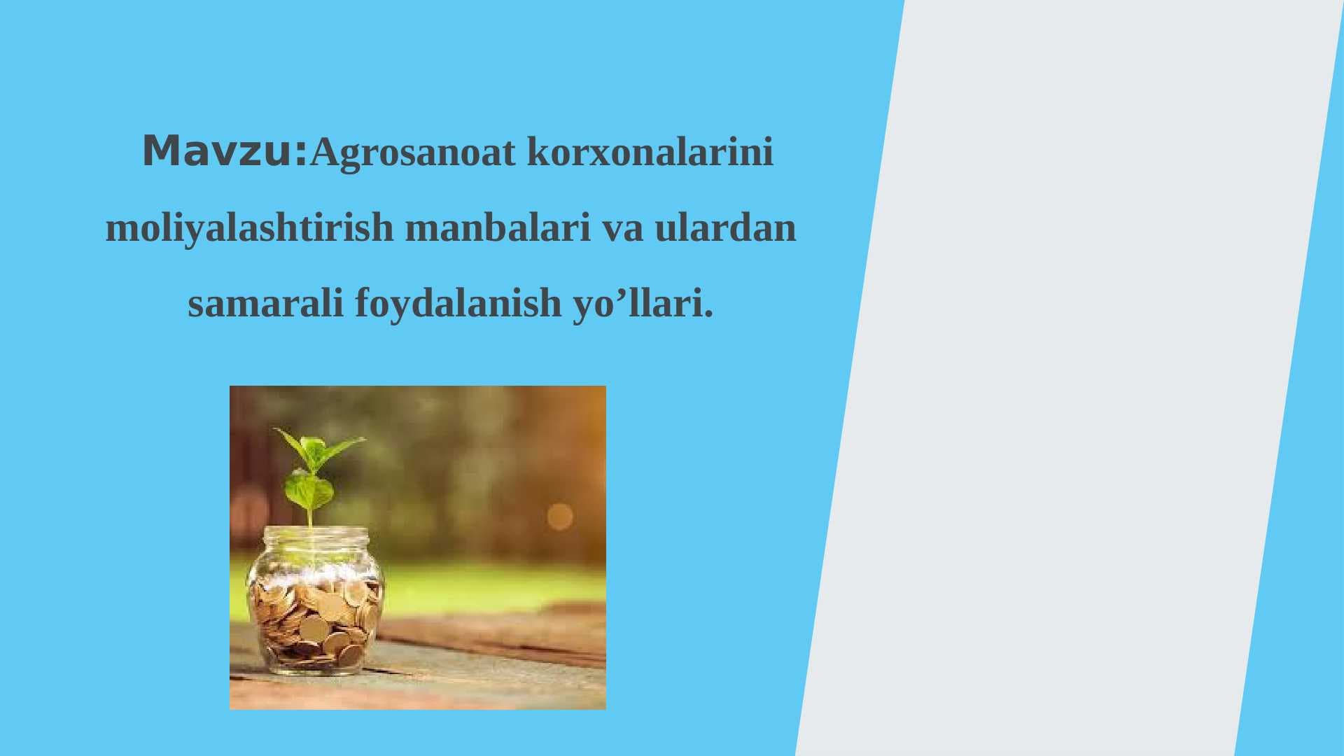 Agrosanoat korxonalarini moliyalashtirish manbalari va ulardan samarali foydalanish yo’llari.