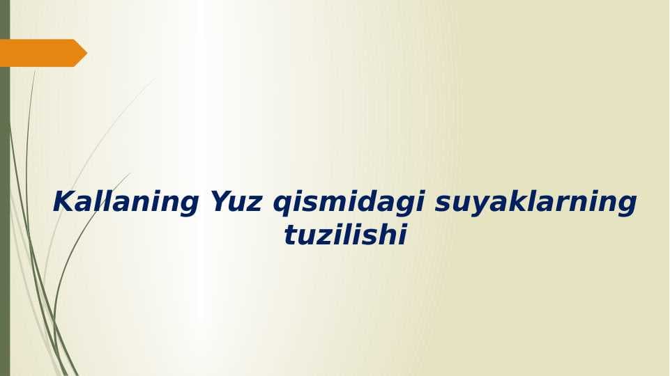 Kallaning Yuz qismidagi suyaklarning tuzilishi