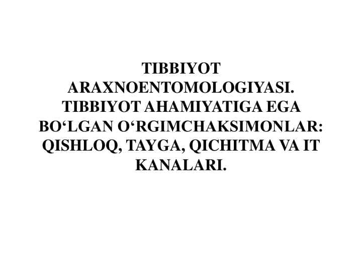 TIBBIYOT ARAXNOENTOMOLOGIYASI. TIBBIYOT AHAMIYATIGA EGA BO‘LGAN O‘RGIMCHAKSIMONLAR: QISHLOQ, TAYGA, QICHITMA VA IT KANALARI