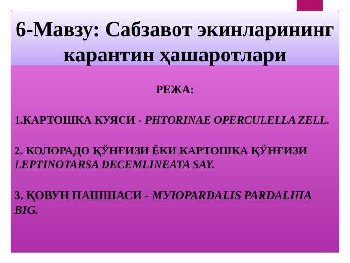 Сабзавот экинларининг карантин ҳашаротлари