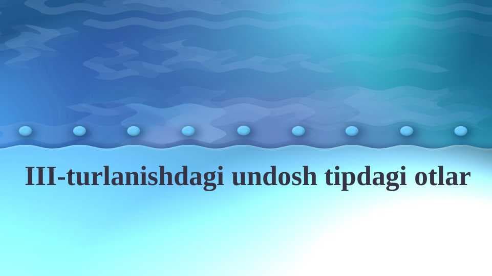 III-turlanishdagi undosh tipdagi otlar