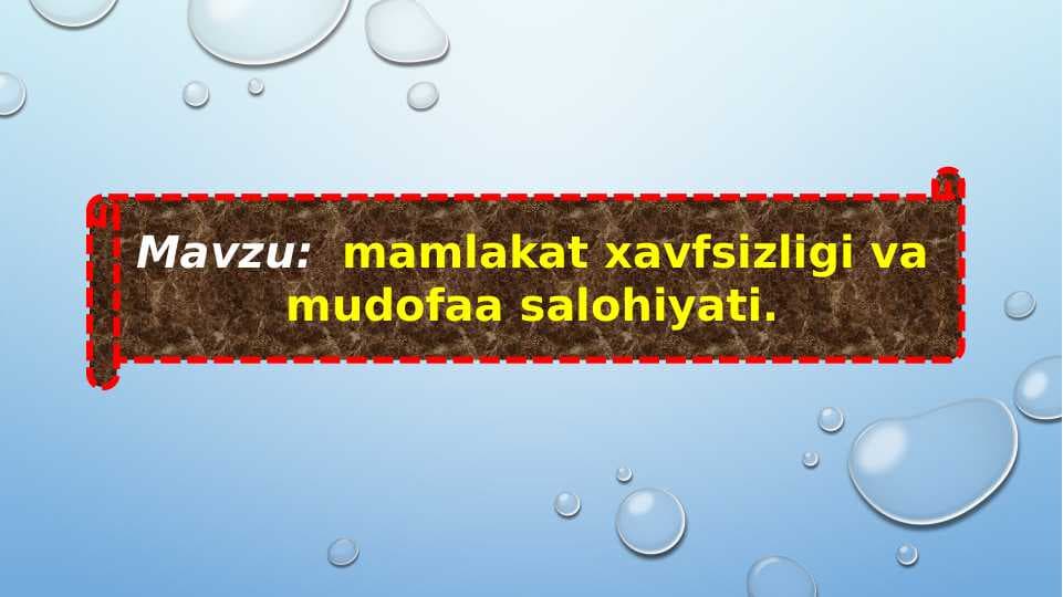 mamlakat xavfsizligi va mudofaa salohiyati