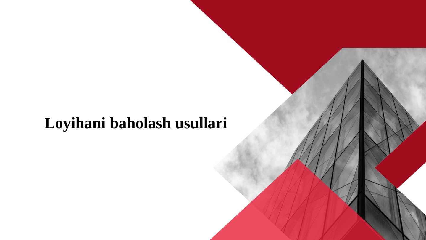 Loyihani baholash