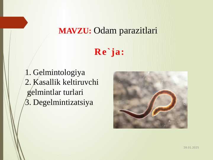 Odam parazitlari
