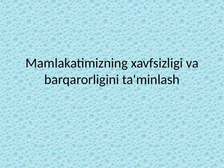 Mamlakatimizning xavfsizligi va barqarorligini ta'minlash
