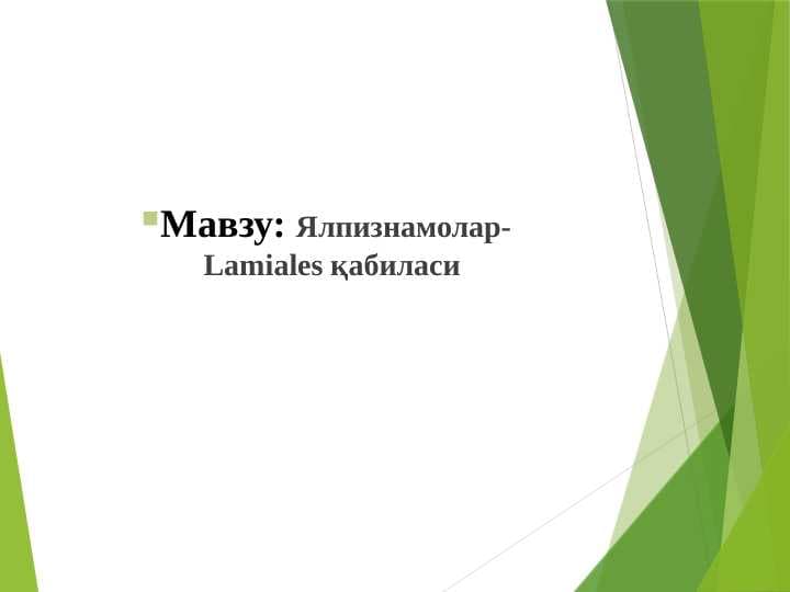 Ялпизнамолар-Lamiales қабиласи