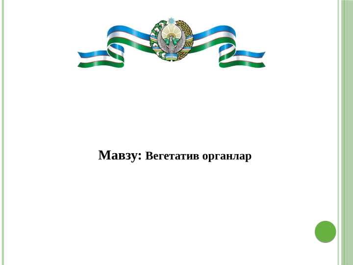 Вегетатив органлар