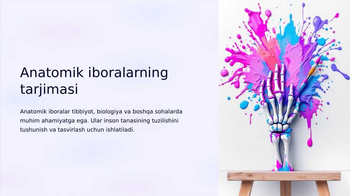 Anatomik iboralarning tarjimasi