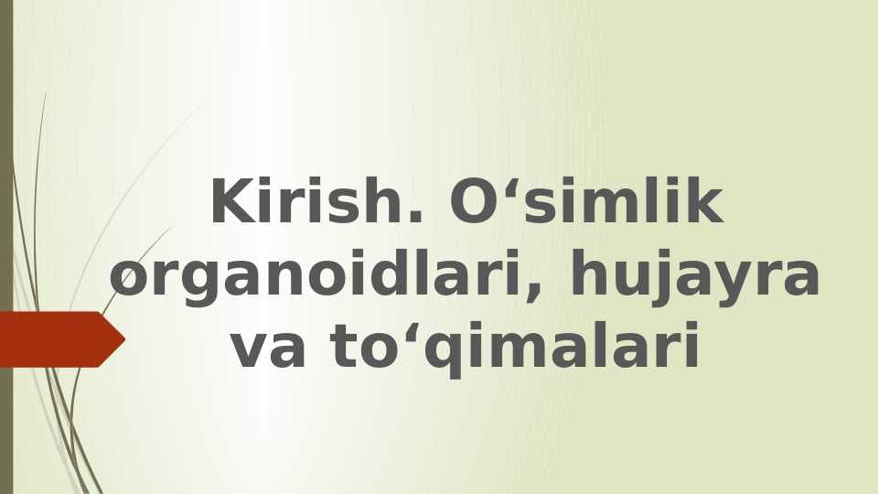 O‘simlik organoidlari, hujayra va to‘qimalari pptx