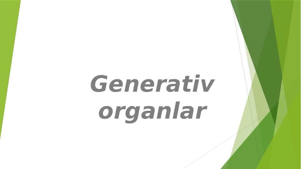 Generativ organlar pptx