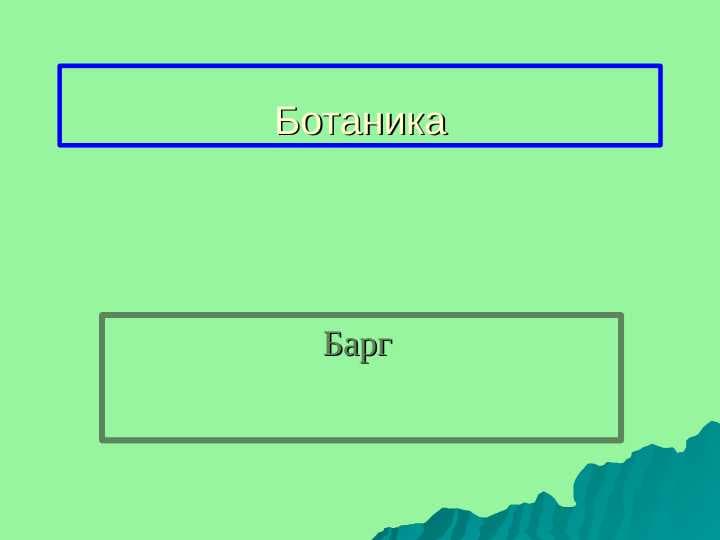 barg pptx
