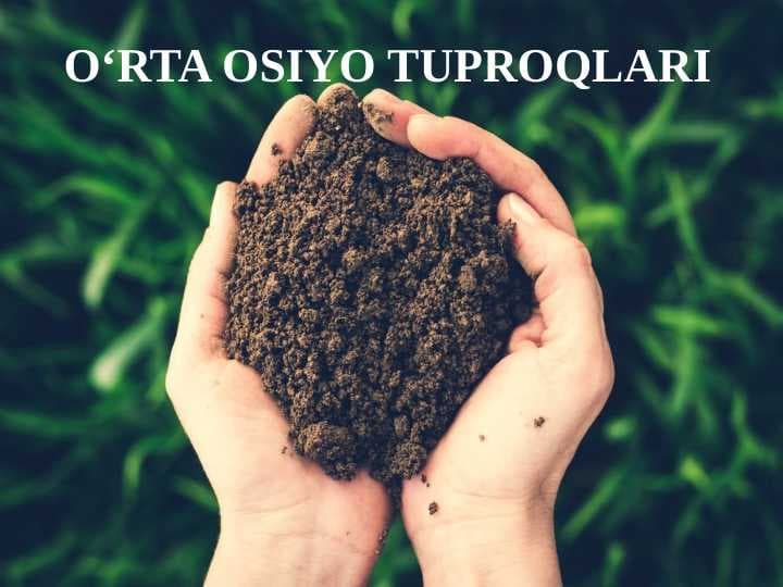 O‘RTA OSIYO TUPROQLARI