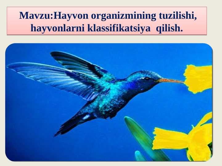 Hayvon organizmining tuzilishi, hayvonlarni klassifikatsiya  qilish.