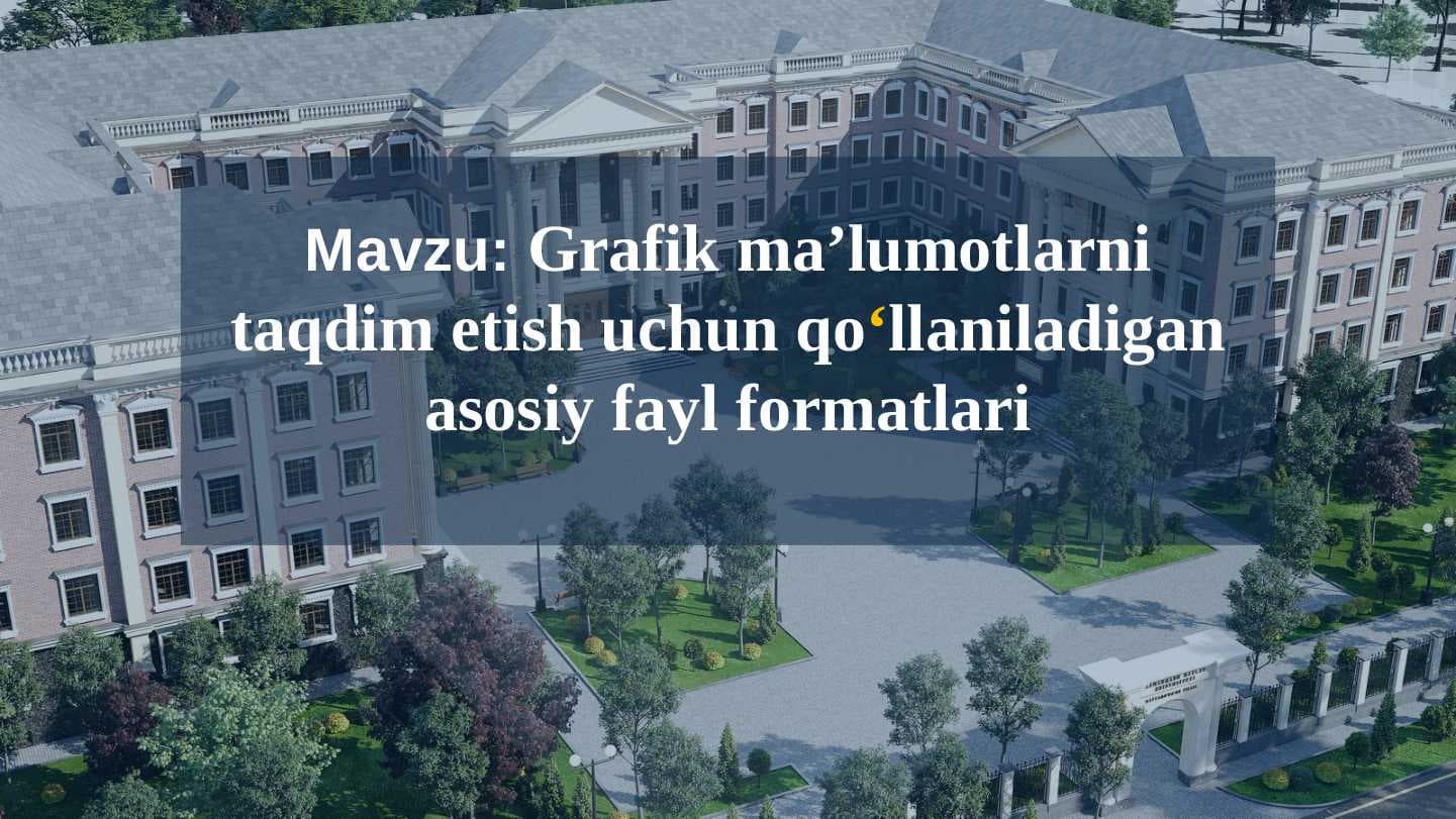 Grafik ma’lumotlarni taqdim etish uchun qo‘llaniladigan asosiy fayl formatlari