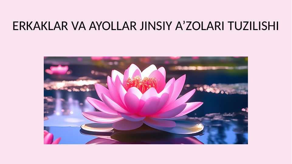 Erkak va ayollarning jinsiy a'zolari tuzilishi
