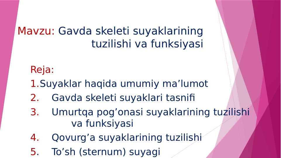 Gavda skeleti suyaklarining tuzilishi va funksiyasi