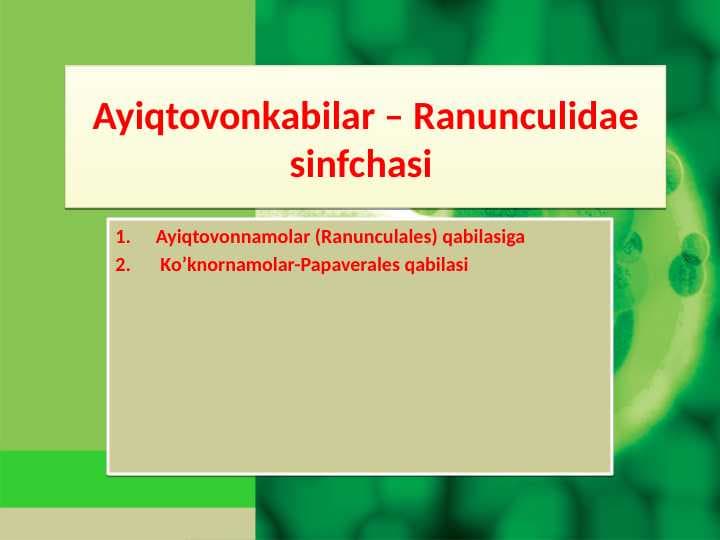 Ayiqtovonkabilar – Ranunculidae sinfchasi. Ko’knornamolar-Papaverales qabilasi