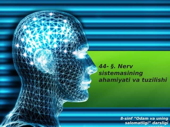 Nerv sistemasining ahamiyati va tuzilishi