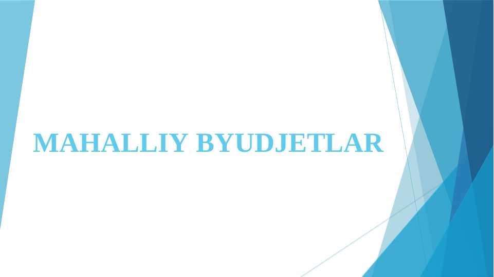 MAHALLIY BYUDJETLAR