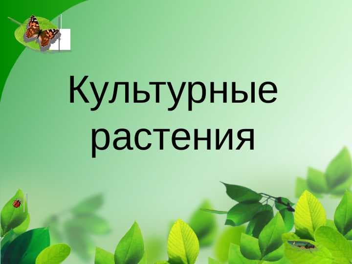 Культурные растения