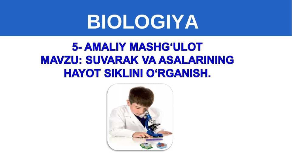 SUVARAK VA ASALARINING HAYOT SIKLINI O‘RGANISH