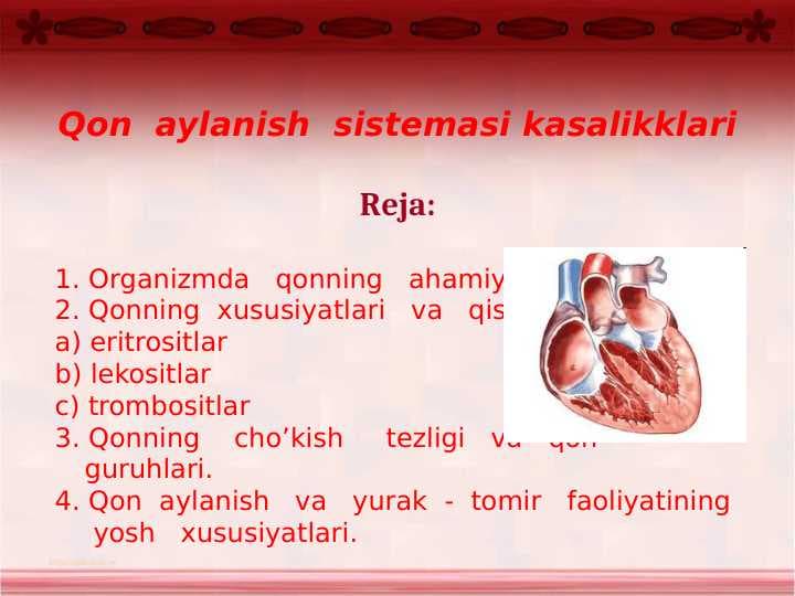 Qon aylanish sestimasi
