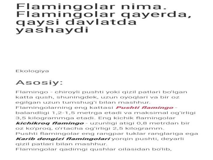 flomingo