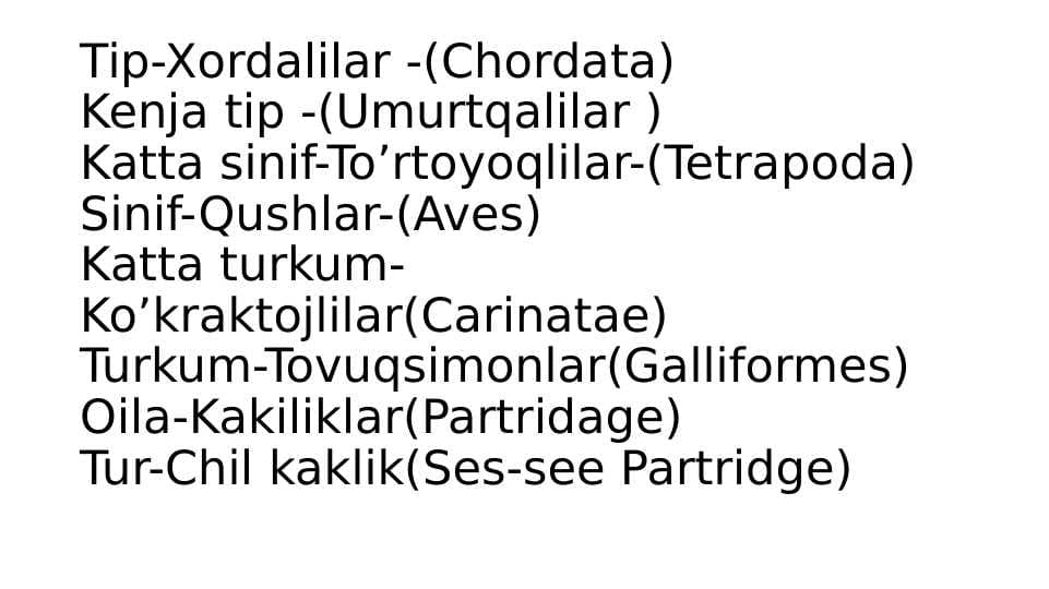 Kaklik
