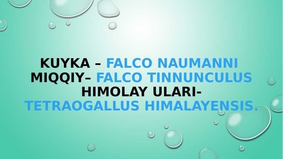 zoologiya burgutlar va  ularning turlari pptx