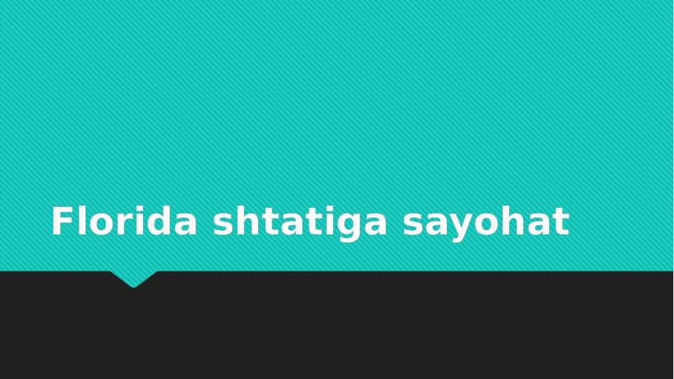 Florida shtatiga sayohat