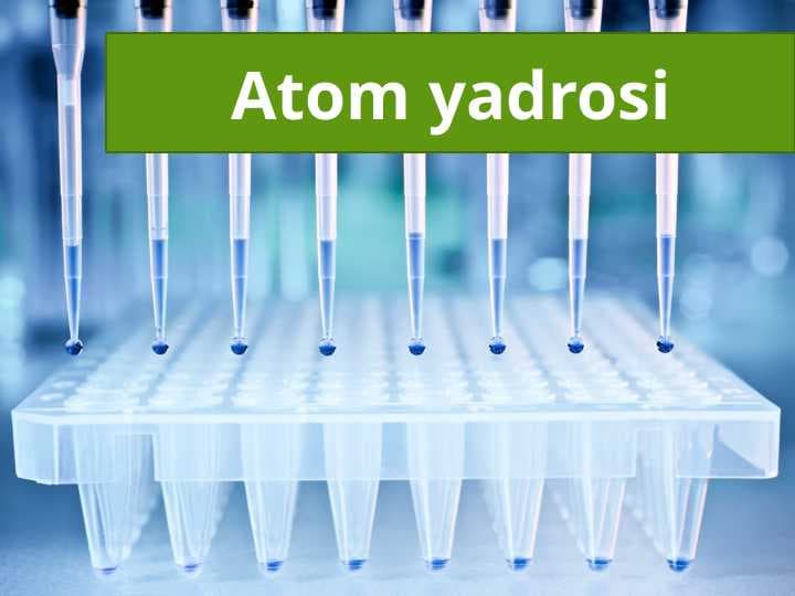 Atom yadrosi