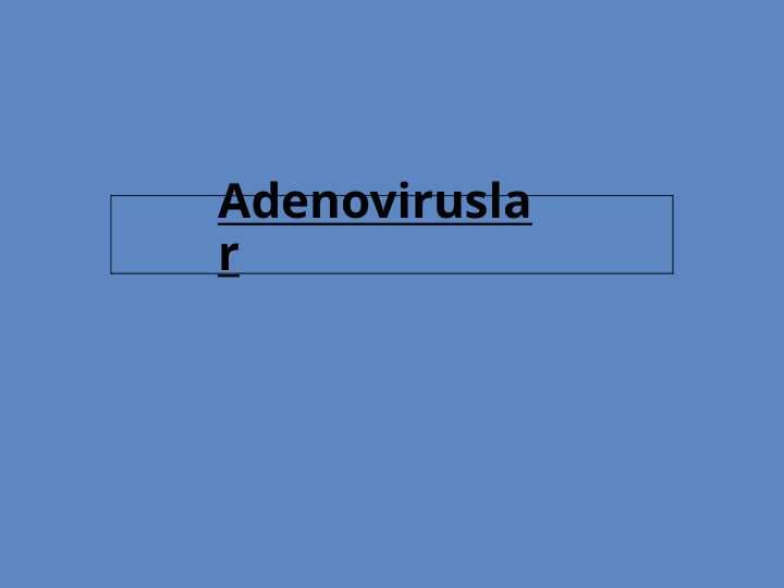 Adenoviruslar