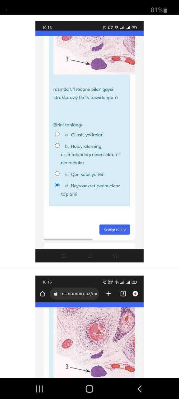 2-moodle gistologiya rasmli test.
#Gistalogiya