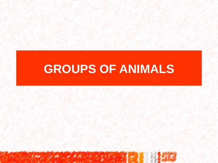 GROUPS OF ANIMALS