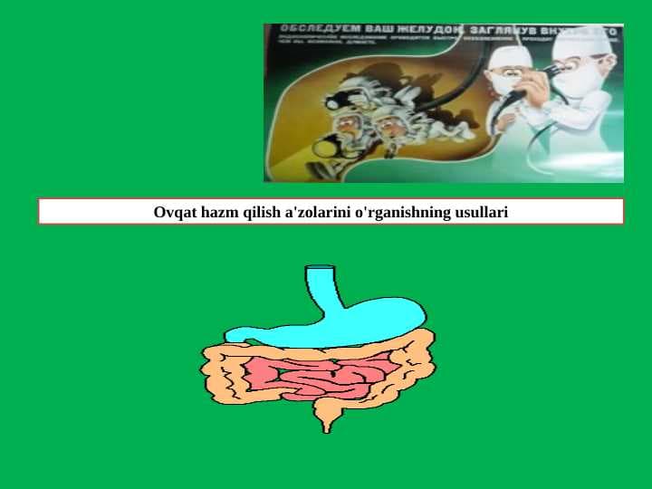 Ovqat hazm qilish a'zolarini o'rganishning usullari