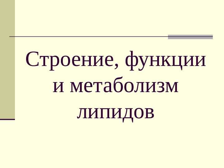 Строение функции и метоболизим липидов