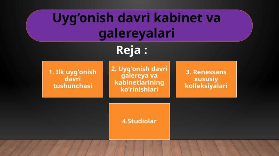 Uyg‘onish davri kabinet va galereyalari