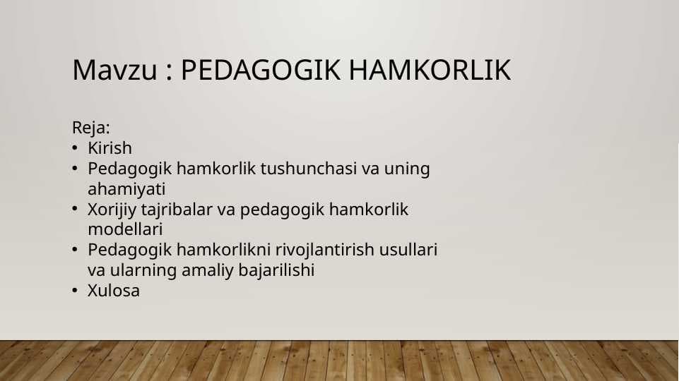 PEDAGOGIK HAMKORLIK