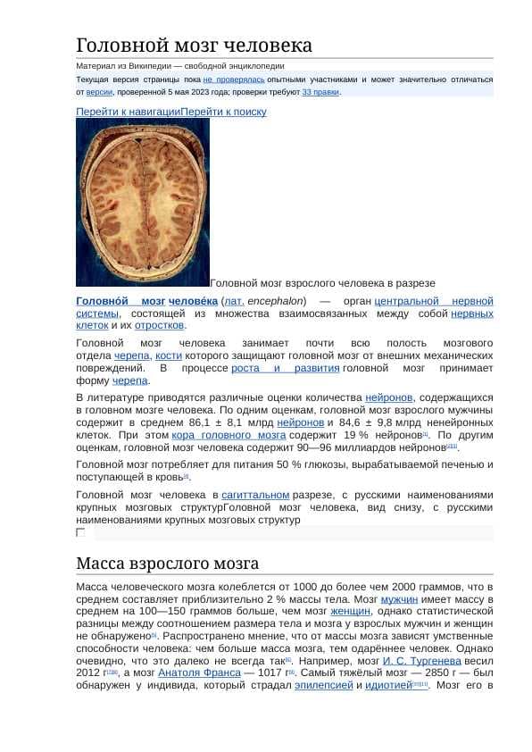 Головной мозг человека