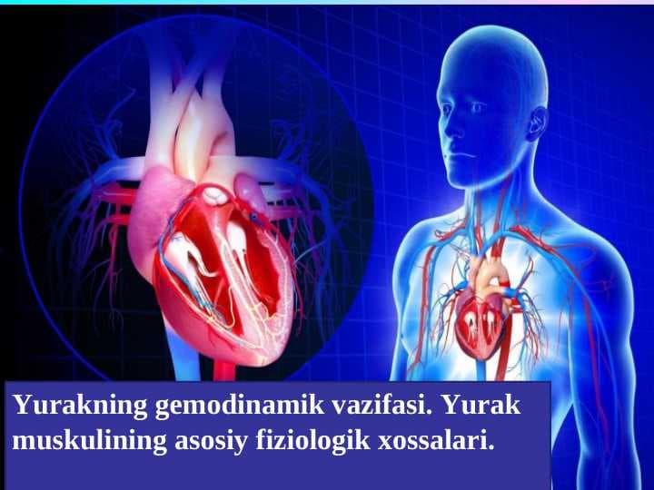 Yurakning gemodinamik vazifasi. Yurak muskulining asosiy fiziologik xossalari.