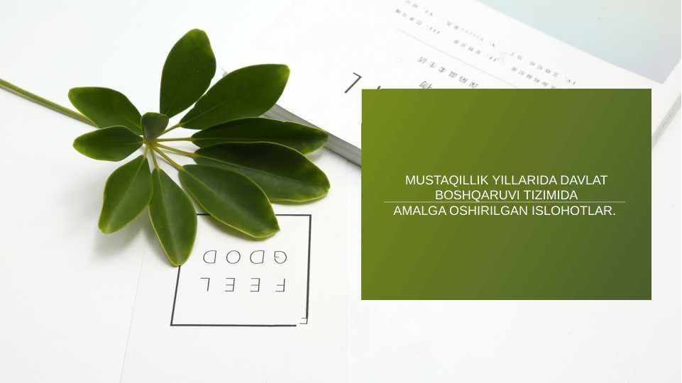MUSTAQILLIK YILLARIDA DAVLAT BOSHQARUVI TIZIMIDA AMALGA OSHIRILGAN ISLOHOTLAR.